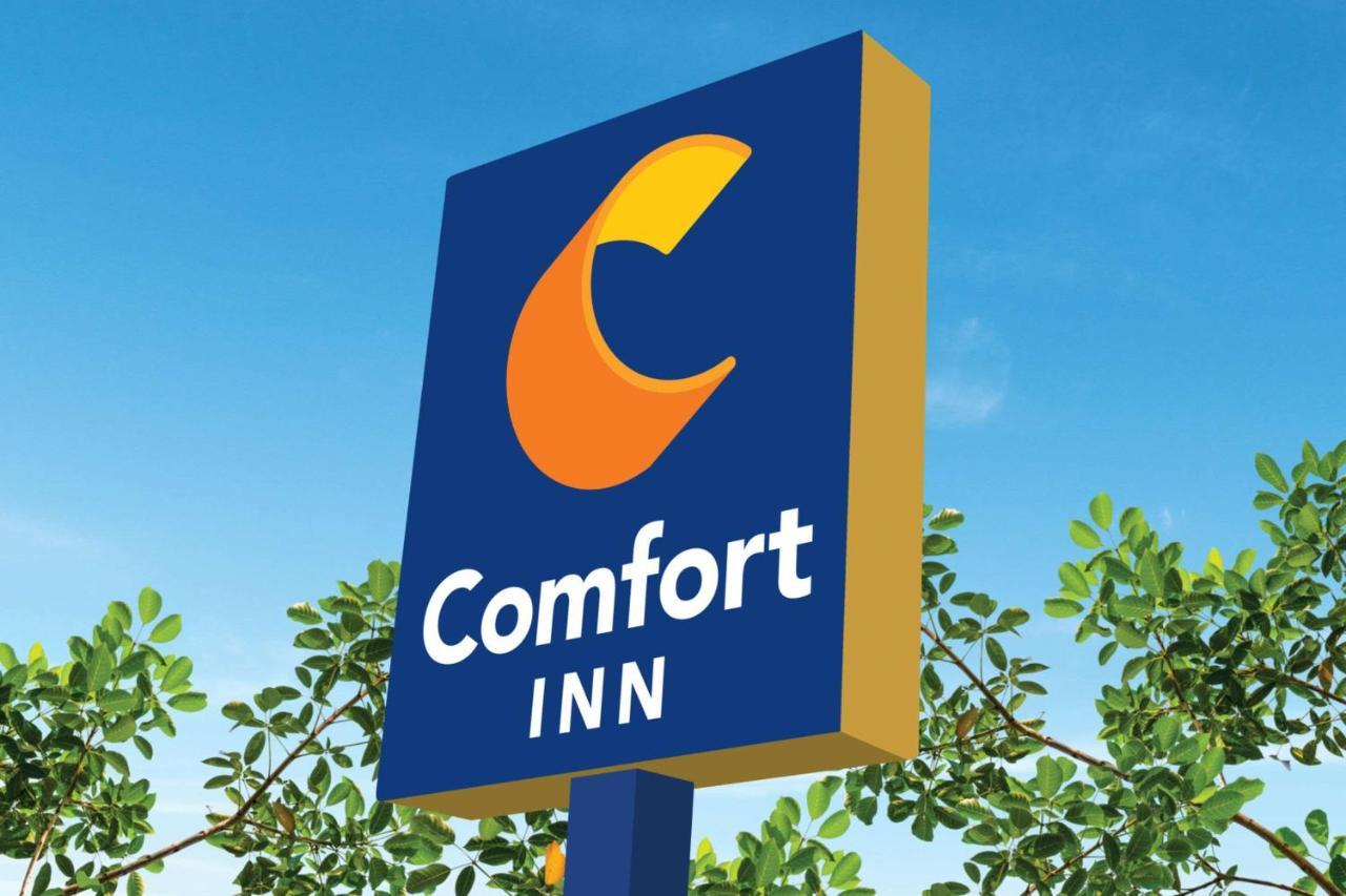 Comfort Inn Of Griswold Exterior photo